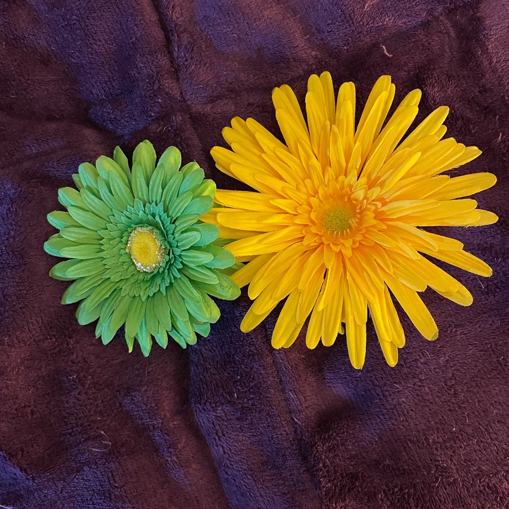 Yellow and Green Flower Clips